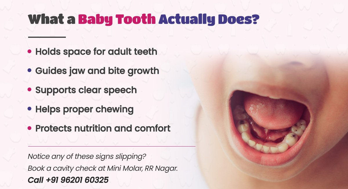 what a baby tooth actually does